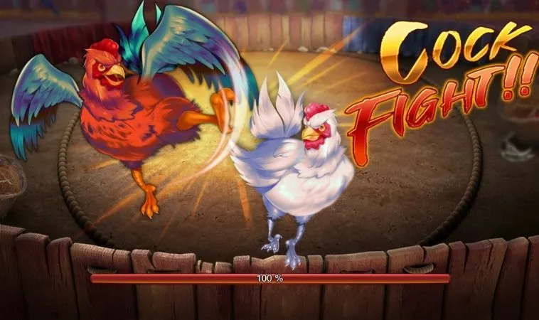 Đá Gà 3D Tại Vibet88