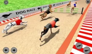 Đua Chó Tại Vibet88