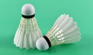 Cầu Lông Tại Vibet88