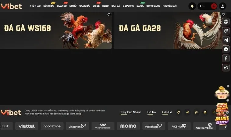 Sảnh đá gà Vibet88 thiết kế giao diện đẹp, chuyên nghiệp