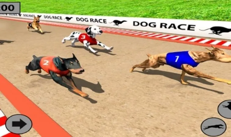 Cách chơi game nhanh Đua Chó Tại Vibet88