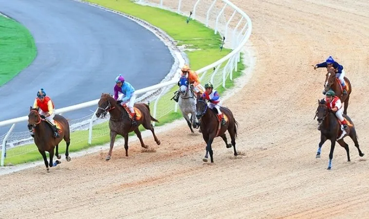 Cần tìm hiểu kỹ về bộ môn Đua Ngựa Vibet88 trước khi cá cược